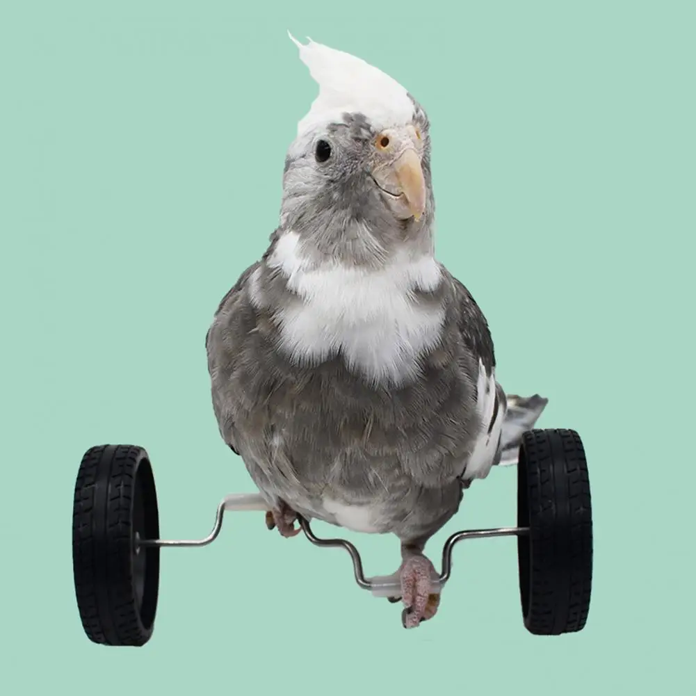Bird Toys Bicycle Parrot Balance Toy Mini Double Row Roller Skates Pet Small Bird Training Toy Rotary Wheels Bicycle