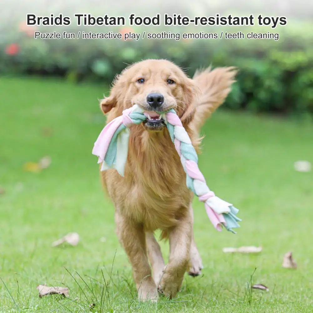 https://ae01.alicdn.com/kf/S1d513c01c39e4c4e9ff2b9b86ccd5909H/Pet-Toy-Braid-Toy-Multi-color-Teeth-Clean-Healthy-Pet-Dogs-Molar-Pet-Product.jpg