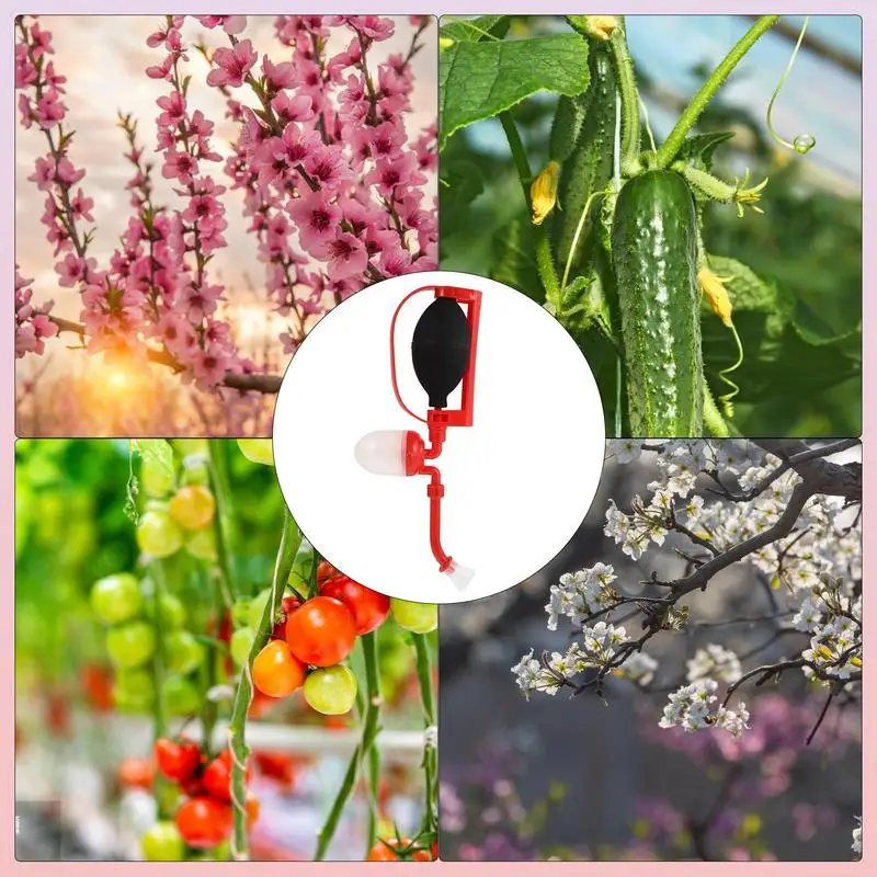 꽃 수분제 분말 분무기 수분제, 과일 야채 토마토 수분제, 식물 꽃용 전문 도구 액세서리