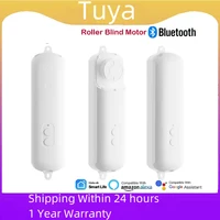 Tuya Roller Blind Robot Rechargable Automatic Curtain Motorised Shutter Opener Support Alexa Google Assistant Siri Voice Control