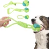 Heavy Duty Rope Toy for Power Chewers | Multi-Texture Tug-of-War & Dental Chew Dog Toy | Non-Slip Grip Indoor/Outdoor Use