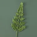 Light Army Green