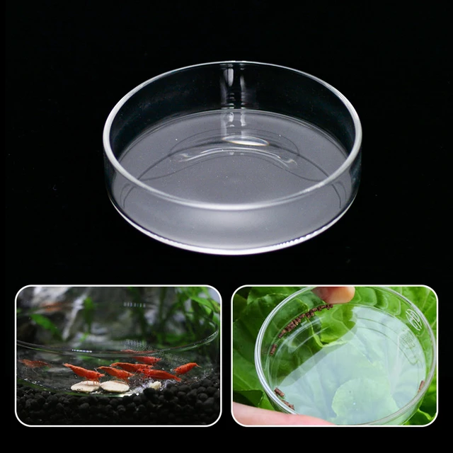 Clear Glass Shrimp Feeding Food Dish Feeder Tray Round Container