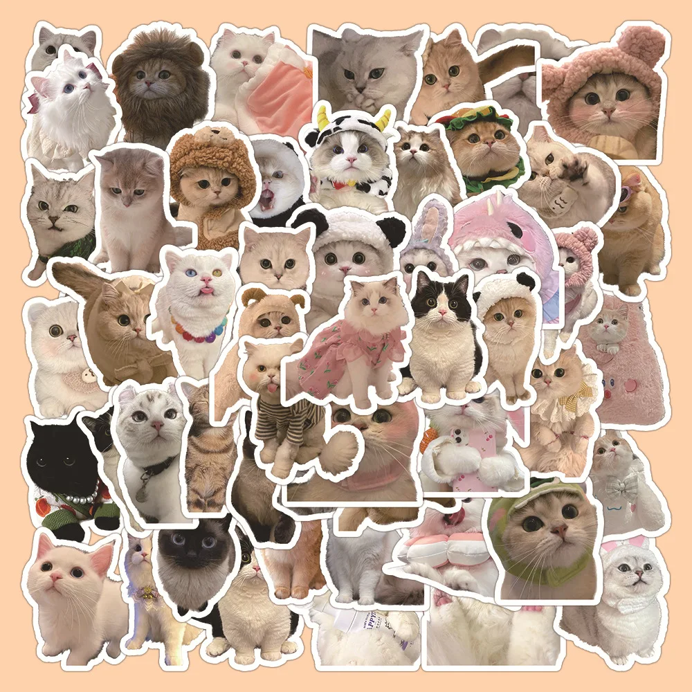 60pcs kawaii Katze Aufkleber PVC Cartoon niedlichen Abziehbilder Spielzeug Briefpapier Gitarre Telefon ästhetische Dekorationen Kühlschrank liefert