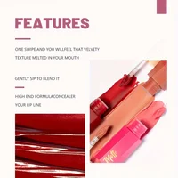 1pcs Waterproof Matte Velvet Lip Tint: Long-Lasting Nude Lip Glaze for a Sexy and Smooth Finish, Valentine's Day Gift 5