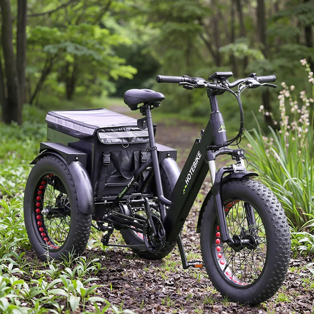 2025 Hochwertiges 500 W 750 W Frachtdreirad, elektrisches Pedicab, Lithiumbatterie, Fat Bike, elektrisch 1