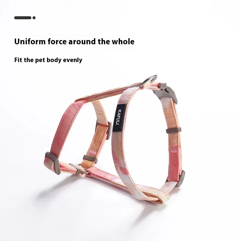 Kitten Accessories Harness and Leash Set - Premium Cat Home Supplies