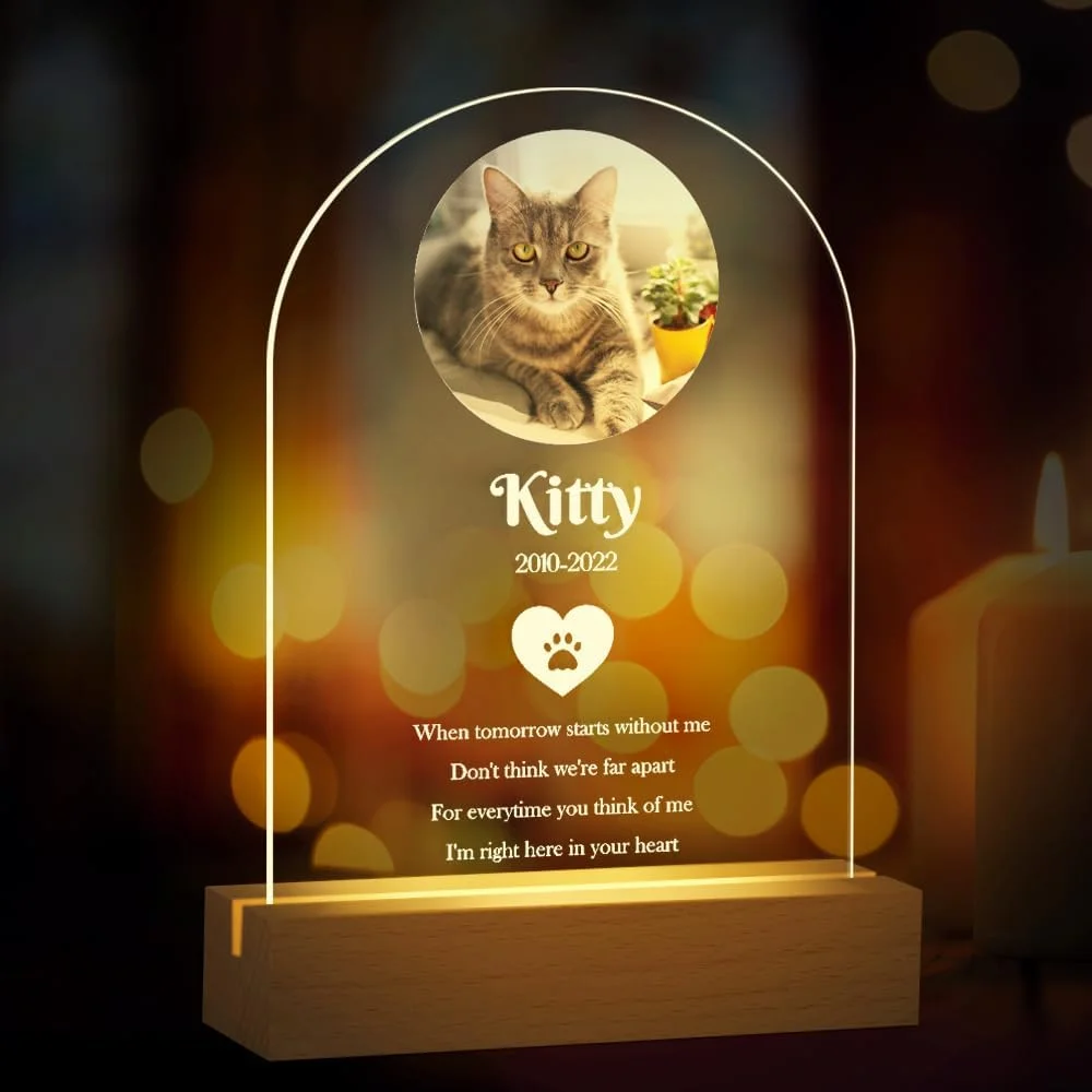 Bemaystar Personalized Pet Memorial Gifts Dog Memorial Gifts for Loss of  Dog Pet Loss Gifts in Memory of Dog Night Lights Custom Dog Memorial Plaque