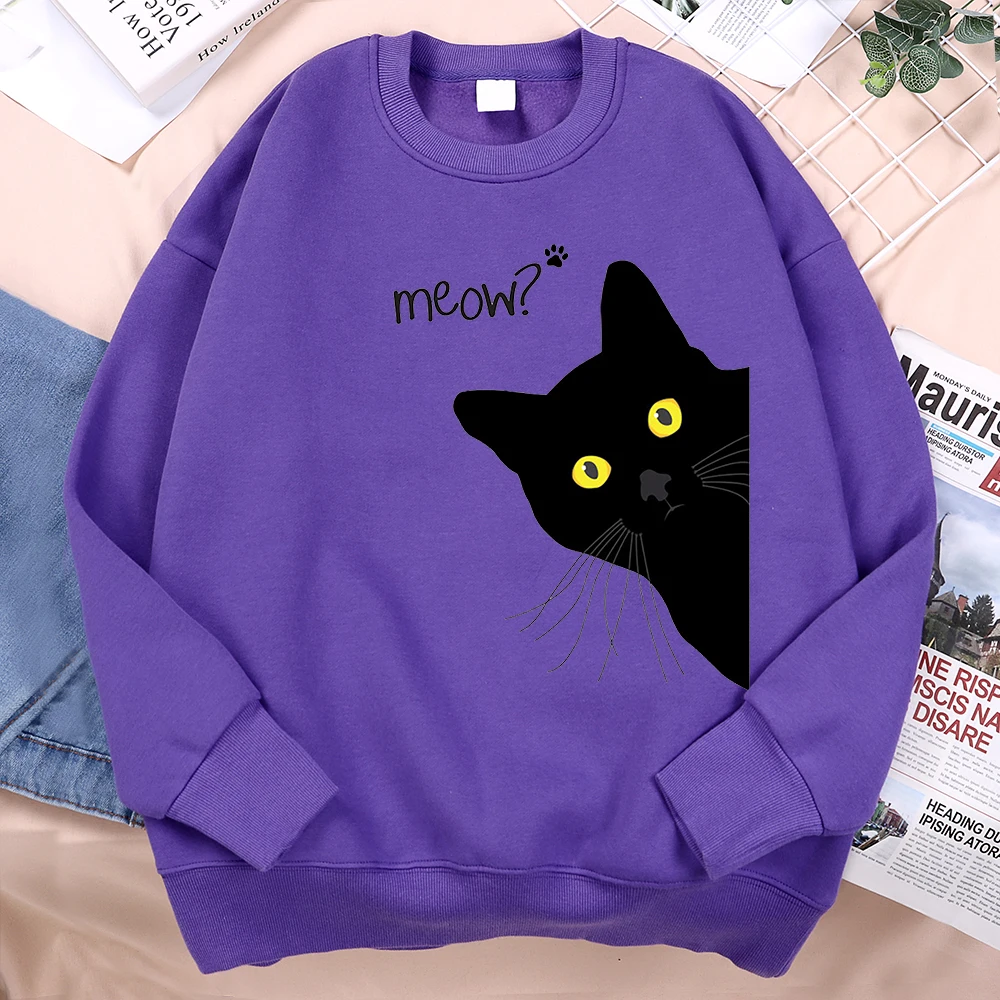 Meow The Black Cat Stared Intently Hoody Men Women Personality Loose Sweatshirts O-Neck Oversize Clothing Pullover Hoody Couple