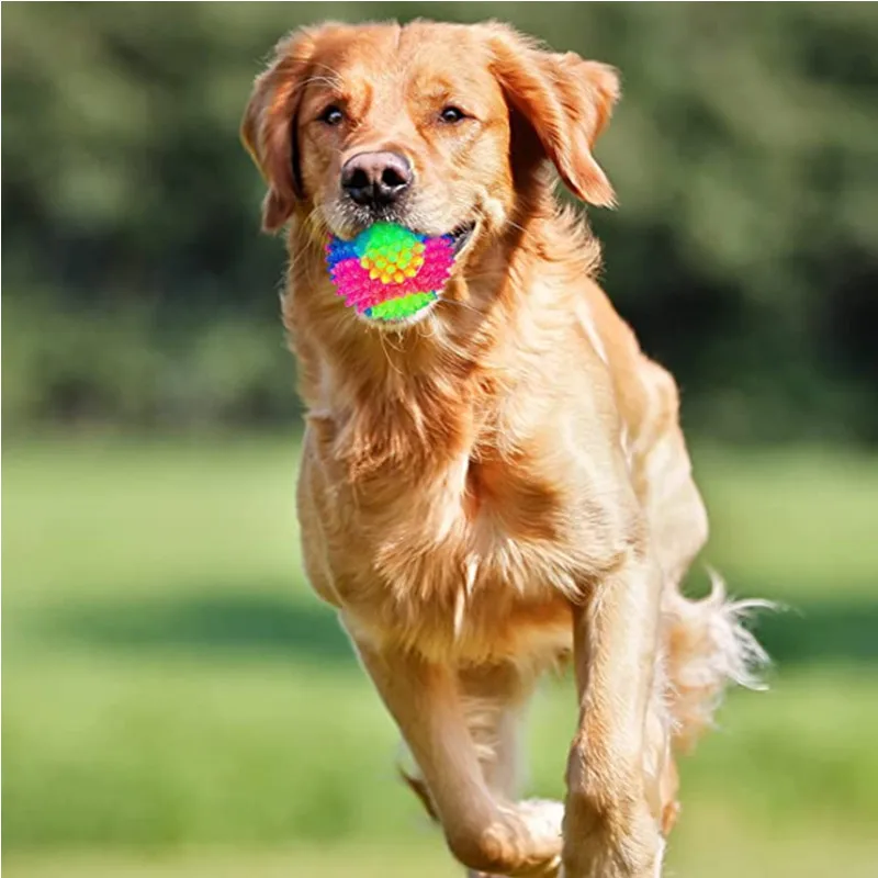 S1d6daa1965fc419890991dcccbd9916c8