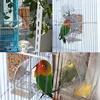 No Mess Bird Feeders Automatic Parrot Feeder Drinker Acrylic Seed Food Container Cage Accessories For Small And Medium Parakeets 6