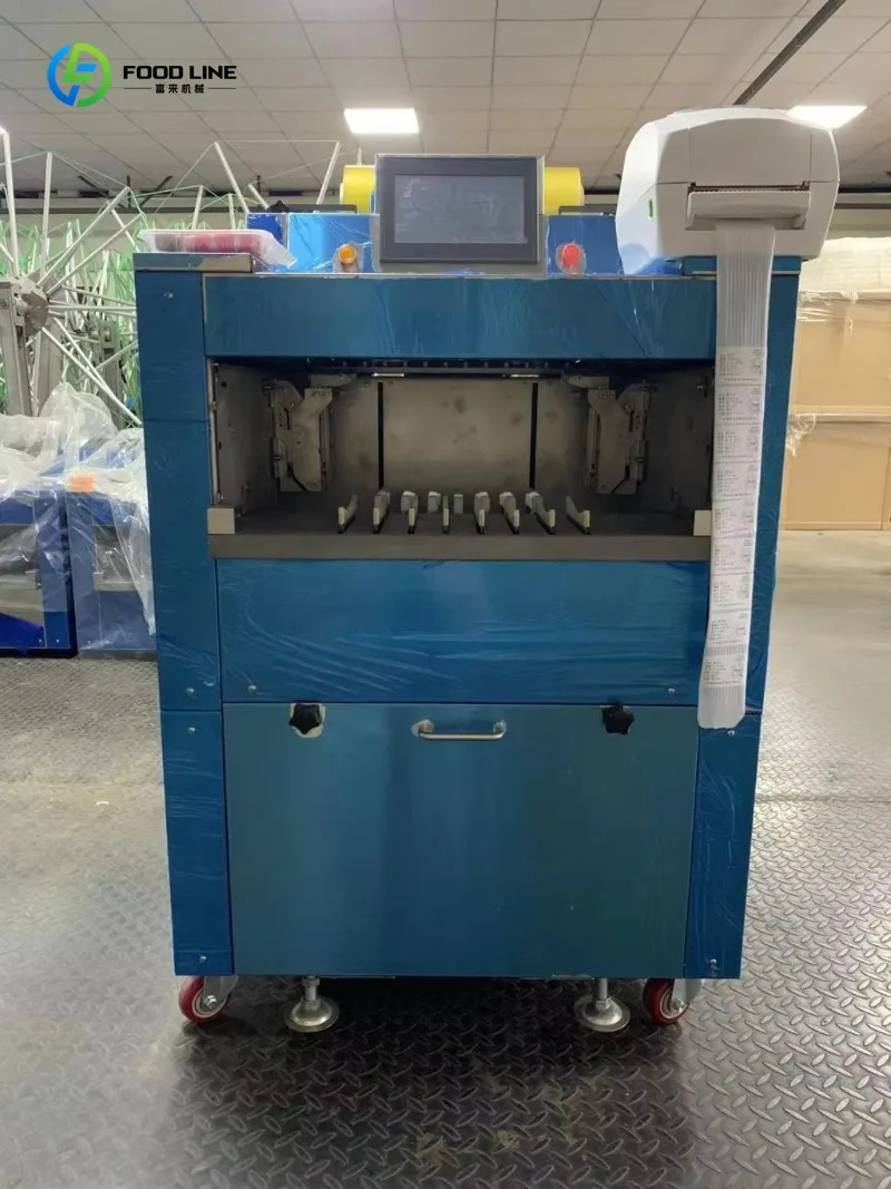 Macchina per Imballaggio in Plastica di Grandi Dimensioni Personalizzata per Scatole di Grandi Dimensioni, Attrezzatura per Imballaggio Completamente Automatica - immagine 2