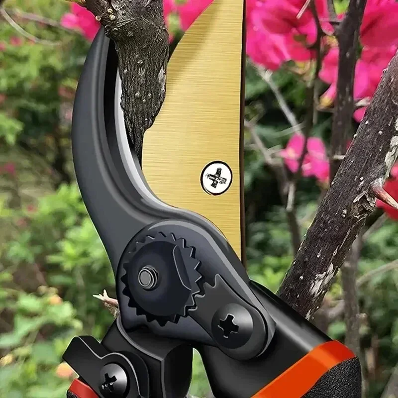 10 Inch Golden Eagle Beak Fruit Tree Pruning Shears, Rough Branch, Energy Efficient Flower Gardening, Home Use 5