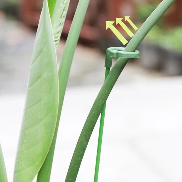 10 Darabos Pillangók Orchidea Zamatos Virágállvány Tartó Cserepes Rúd Kerti Készletek Növények Szár Hegymászás Rögzített Támogató - Image 3