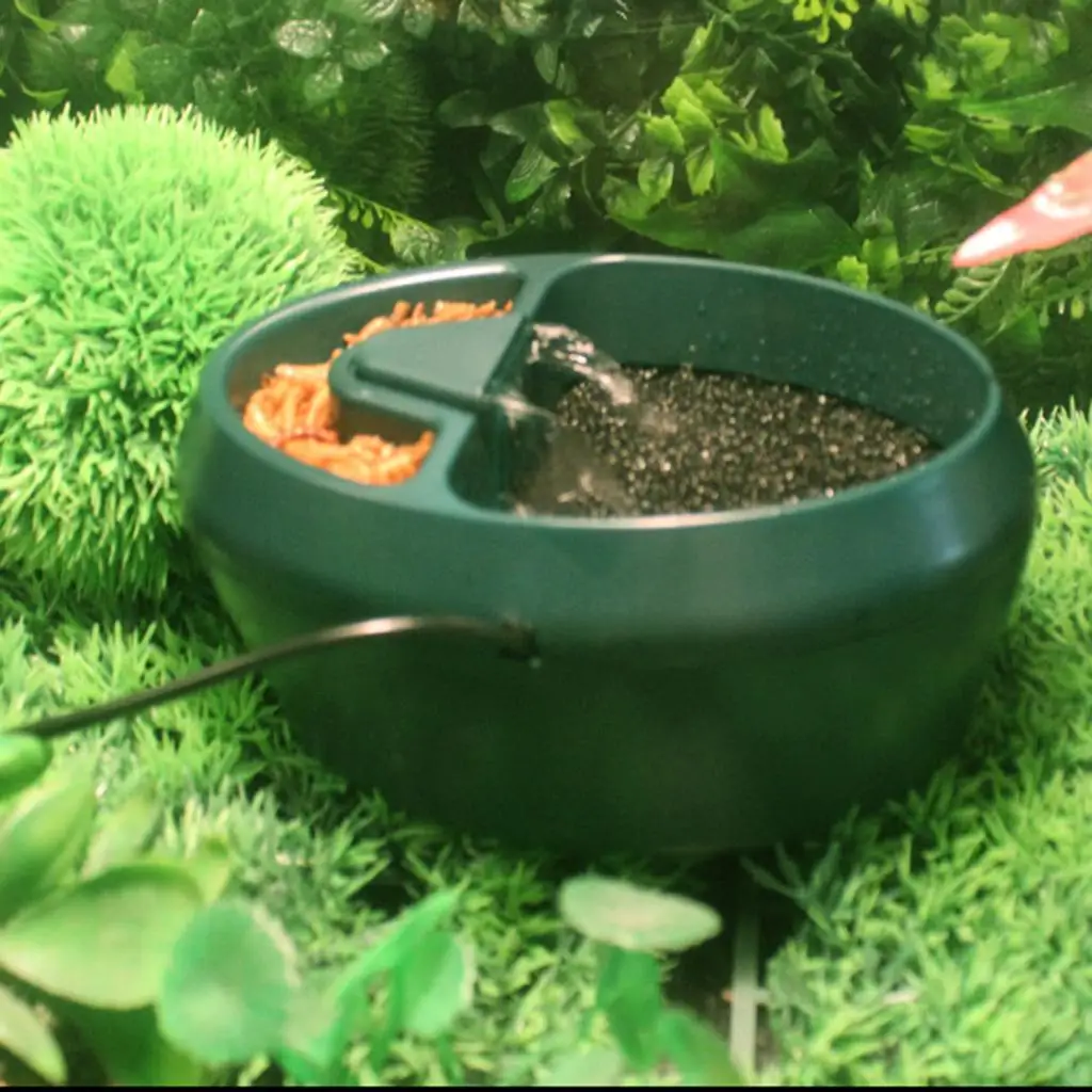 Reptile Drinking Fountain Water Dripper Water Dispenser for Bearded Dragon Amphibians Durability