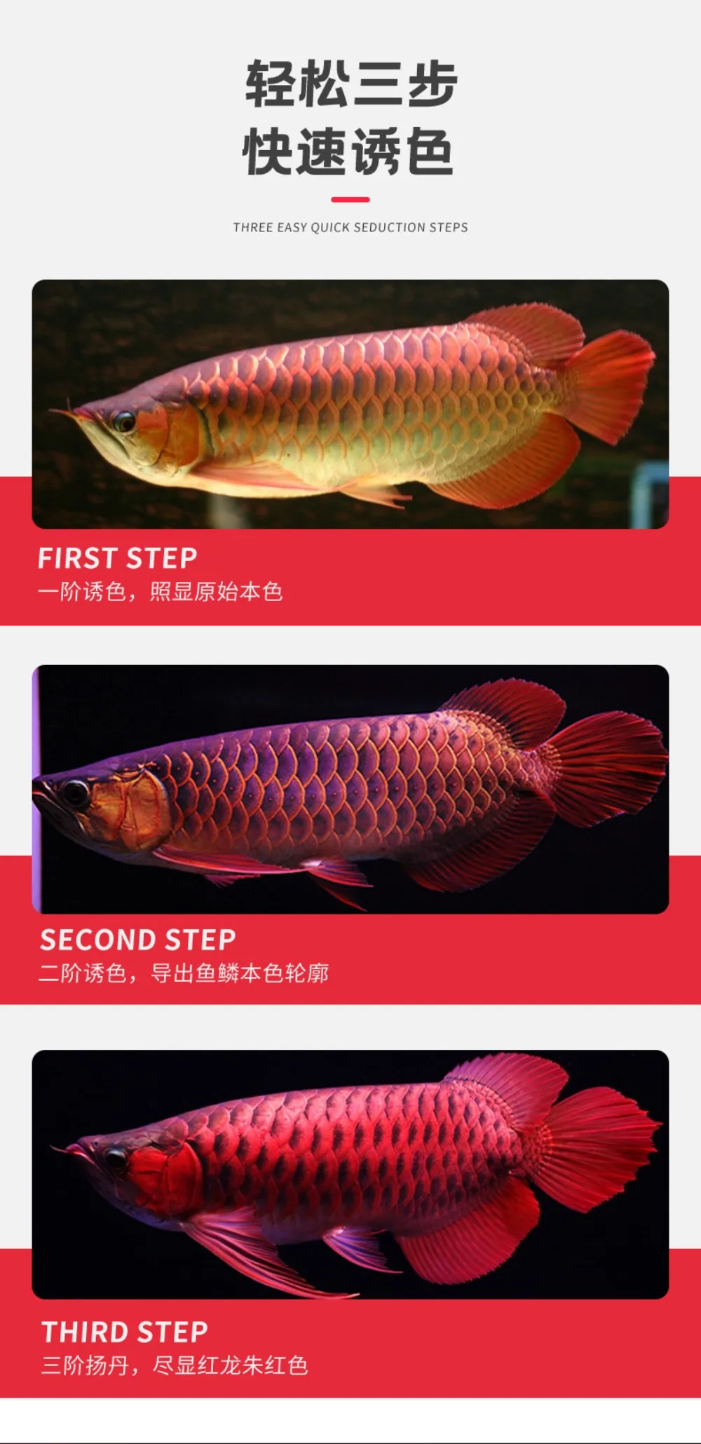 S1d74ec0ad293432f86c8e1e8942dc