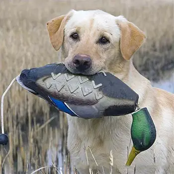 Mimics Dead Duck Bumper Toy For Training Puppies Or Hunting Dogs Teaches Mallard Waterfowl Game Retrieval