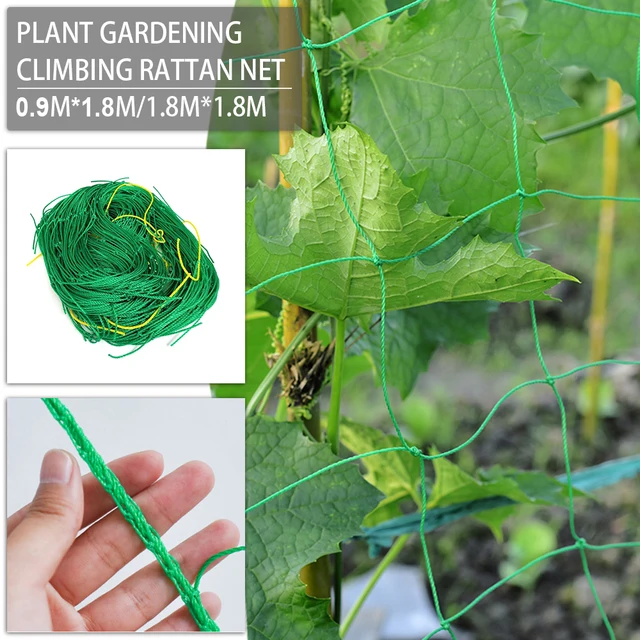 Nylon Háló Kerti Növényi Növény Feltérképezés Nettó Loofah Reggeli Dicsőség Uborka Szőlő Növekedés Holder Crawl Farm Kertészeti Hálózat - Image 6