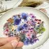 50pcs Transparent INS Ink Flower Cartoon Graffiti Stickers Phone Guitar Notebook Suitcase Water Bottles Waterproof Sticker 2