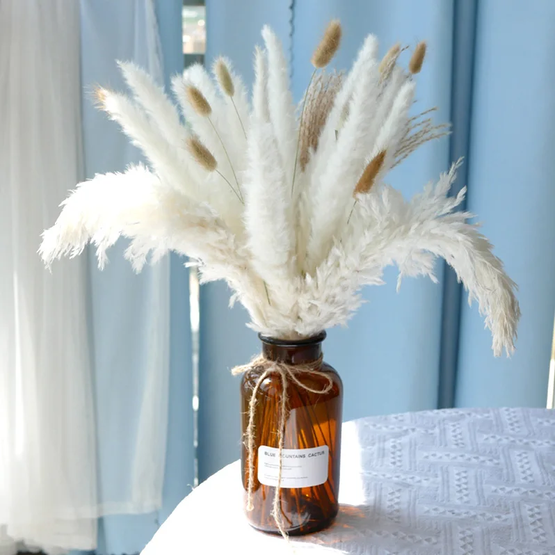 Natural White Dried Flowers Pampas Grass Decor Rabbit Tail