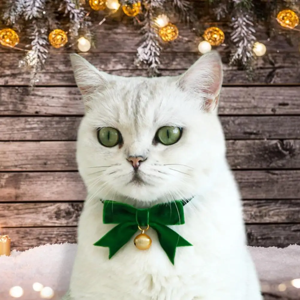 Colorful Pet Collar One Size Easy-wearing Velvet Exquisite Bow-knot Style Pet Cat Collar with Bell Cat Decorative
