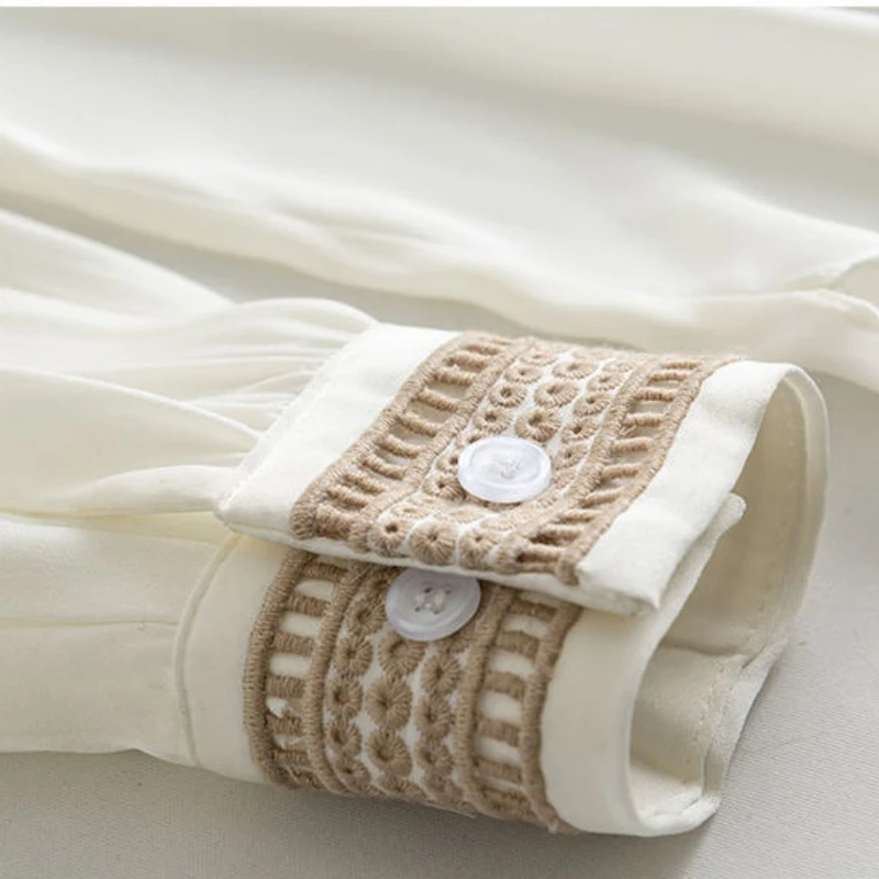 Elegant White Lace Long Sleeve V Neck Blouse for Women