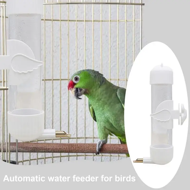 Vogeltränke 300 Ml – Automatischer Wasserspender Für Sittiche, Papageien, Wellensittiche & Kanarienvögel
