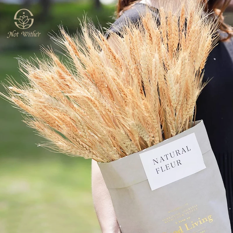 

150PCS Natural Dried Flowers Wheat Spikes Boho Table Wedding Decoration Party Supplies Halloween Christmas Room Decor Bouquets