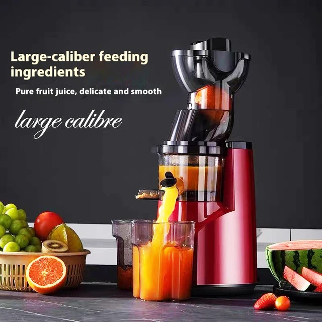 Extracteur de jus de fruits et légumes, 220V, séparation des scories à domicile, gingembre, presse-agrumes multifonctionnel, automatique 1
