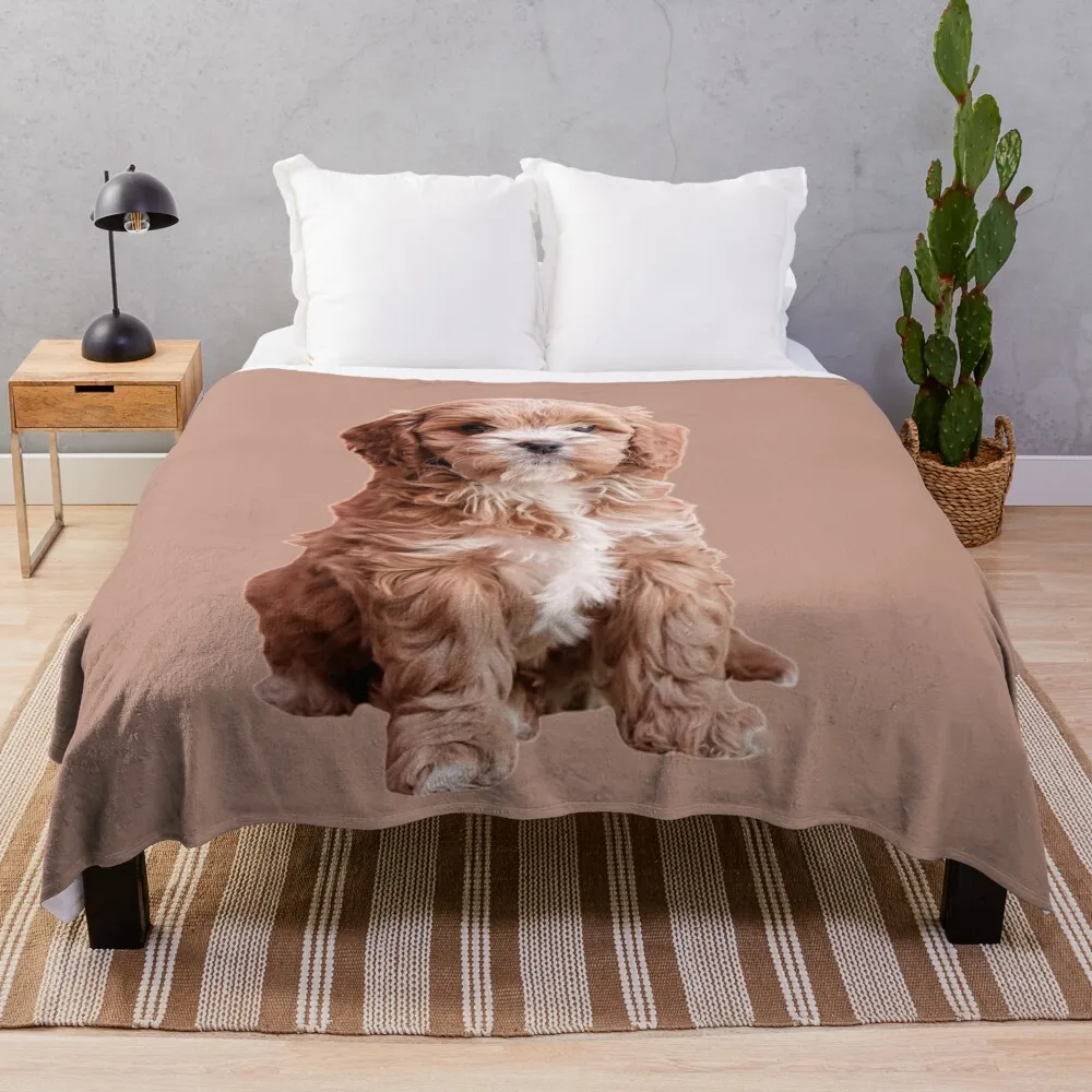 

Cavapoo Throw Blanket Luxury Brand Blanket Luxury Blanket Blankets Sofas Of Decoration cosplay anime