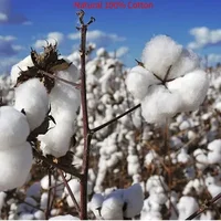 100% Cotton Luxury Super Soft Microfibe Pure Cotton Bed Sheets Double Queen King Bed European and American Bedding 150 180 200 2