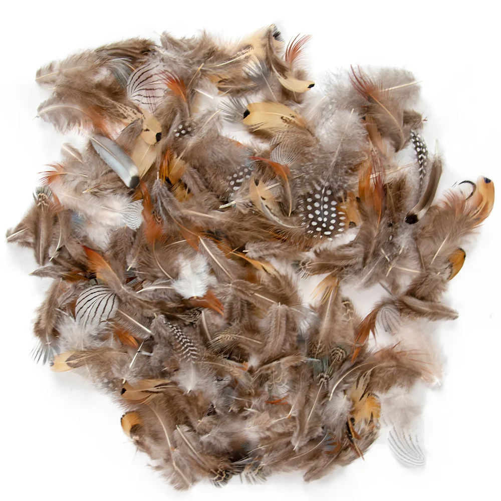 Natural Duck Pheasant Feather 100PCS Small Soft Feathers For Craft Jewelry Making Clothing Carnaval Assesoires Plumas Decoration