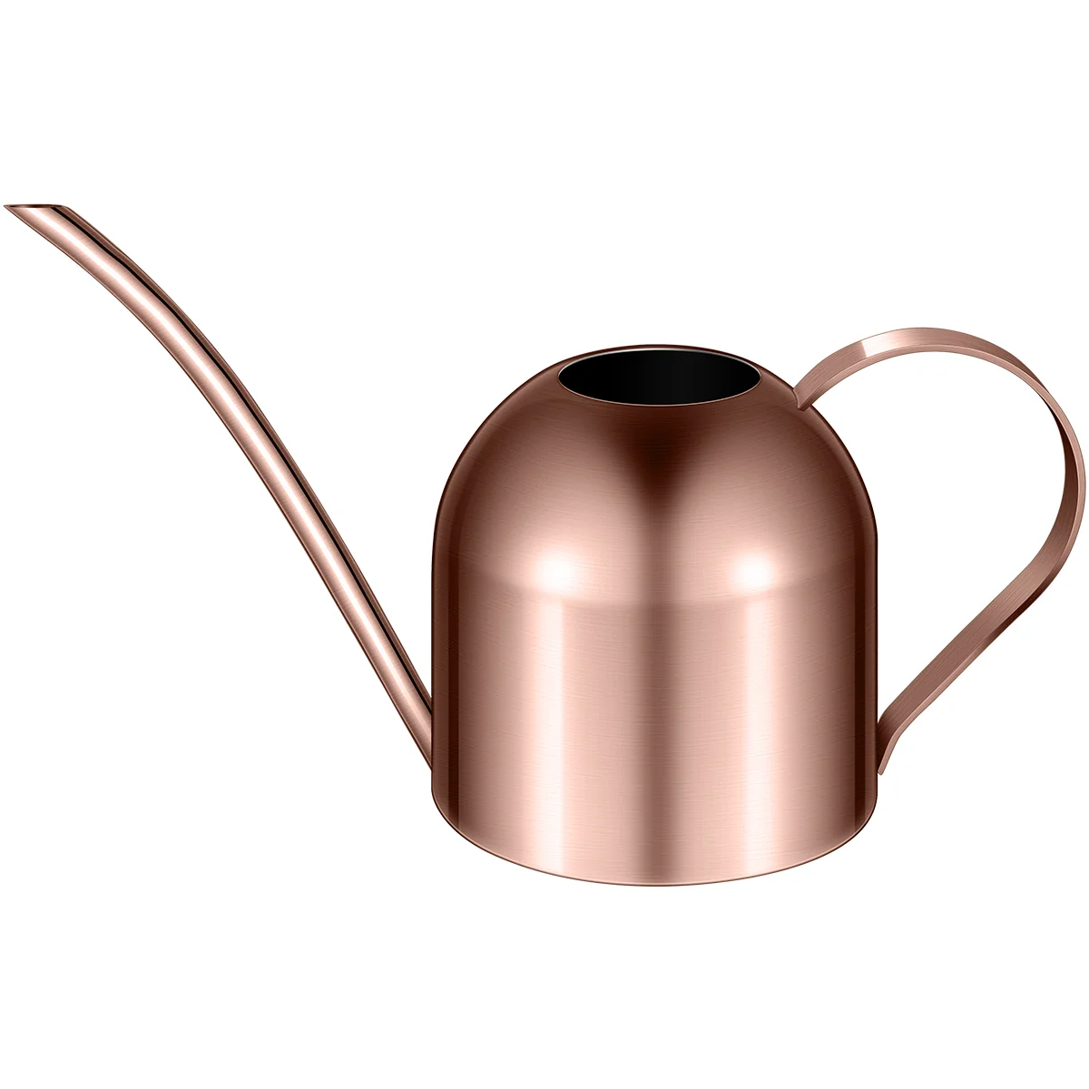 

Indoor Plant Watering Can Metal Flower Plants Stainless Steel Plastic Kettle for Toilet