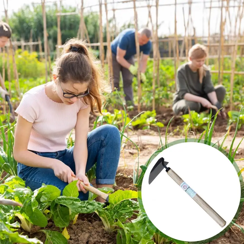 Manual Weeder Japanese Weeding Sickle Ergonomic Grip Handheld Weed Puller Tool Garden Grass Weeder With Razor Sharp Blades 4