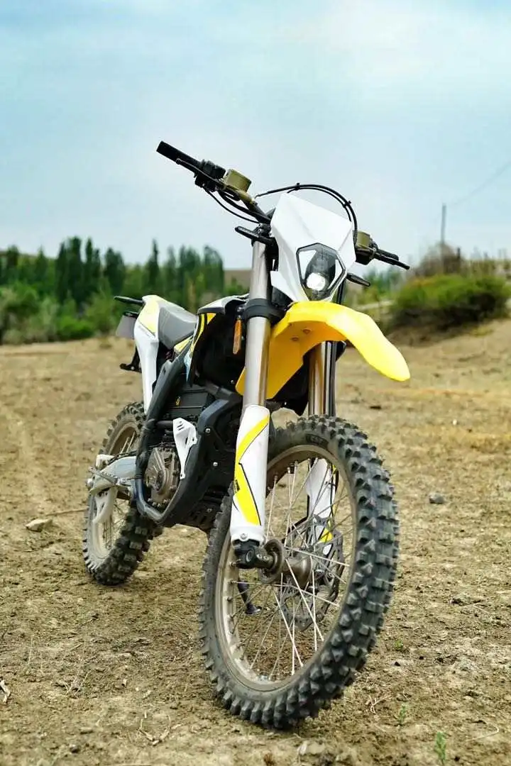 Рисунок 5 - Флэш-Байк SUR-RON STORM BEE 104 в