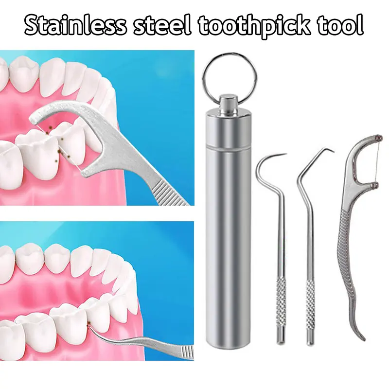 1 Set Toothpick Set Metal Stainless Steel Oral Cleaning Tooth Flossing