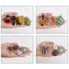 Children Simulation Biology Model Toys Animal Plant Life Growth Cycle Montessori Educational Learning Toy For Kids Teaching Aids 4