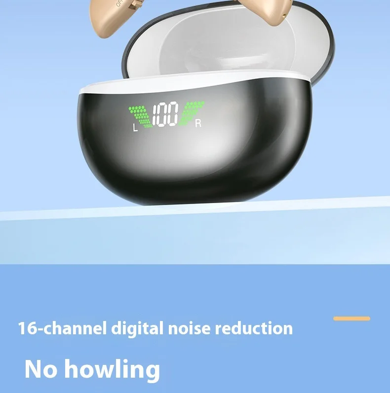 16 Channels Hearing Aids Digital Display Ear Back Type Digital Hearing Aids for