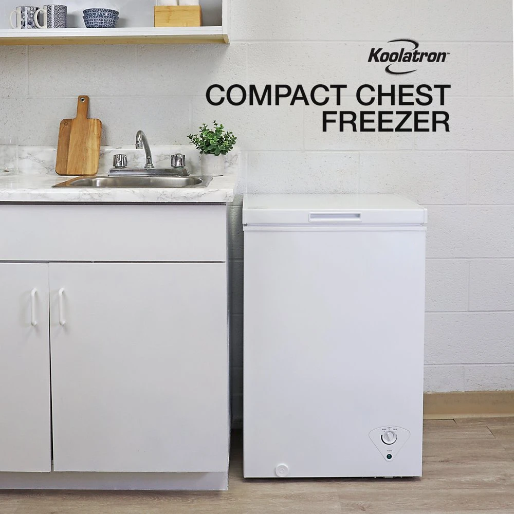 

Freezer, 3.5 cu ft, Compact Freezer, 99 Litre, White, Manual Defrost