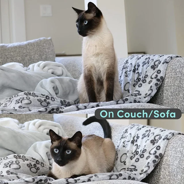 3 Sizes Super Soft Fluffy Premium Fleece Pet Blanket  Pet Mat Warm Comfortable Blanket for Cat Dogs Cat Pet Supplies Easy Clean 5