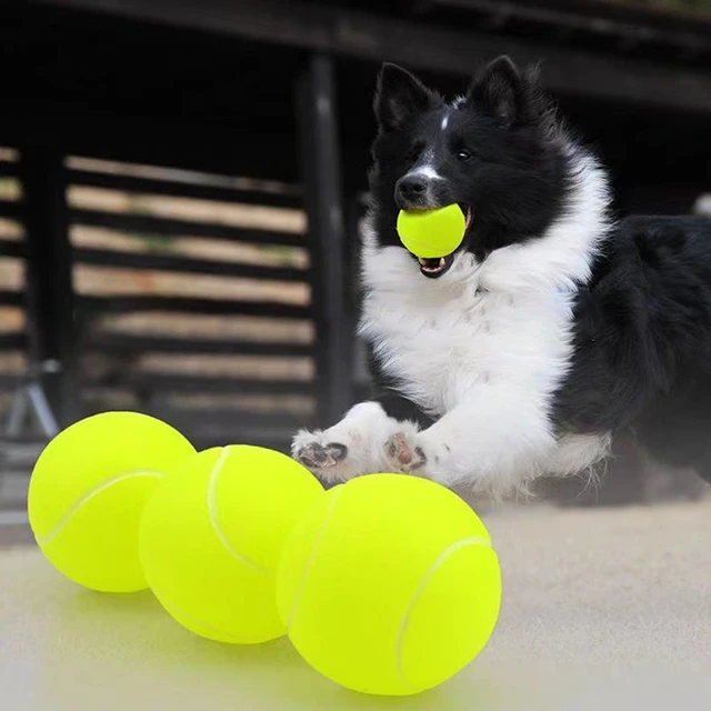 Pelotas de tenis para perros, paquete de 6 juguetes para perros, pelotas de  tenis para mascotas para perros grandes y cachorros, pelota interactiva