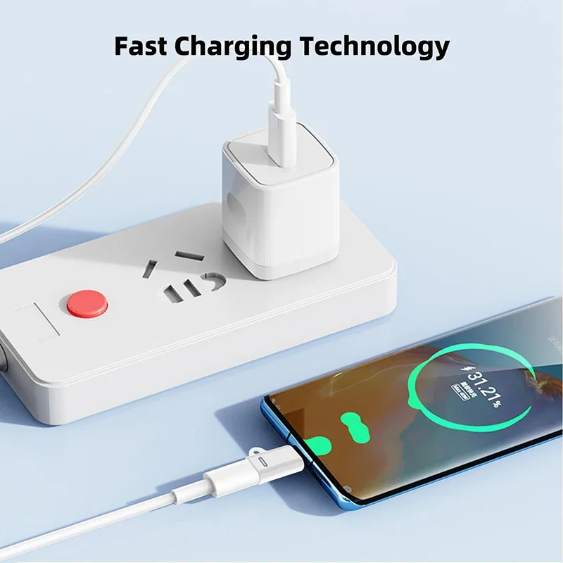 Versatile Female to Type C Adapter for Charging and Data Sync