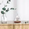 Decorations Angel Glass Cover Dome with Wood Base Display Eternal Flower Vase Cake Bell Jar Decorative Micro Landscape 3
