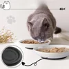 Pet Cat Bowl Snack Canned Tray Not Easy To Tip Over Cat Food Bowl Porcelain Cat Plate Dog Food Bowl Pet Supplies 4