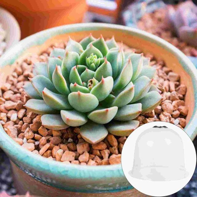 Védelmi Borító Kupola Frost Guard Freeze Greenh - Image 6