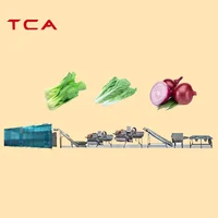 Vegetable Fruit Bubble Washer Vegetable Cleaning Machine Sorting Drying Frozer Processing Production Line 1