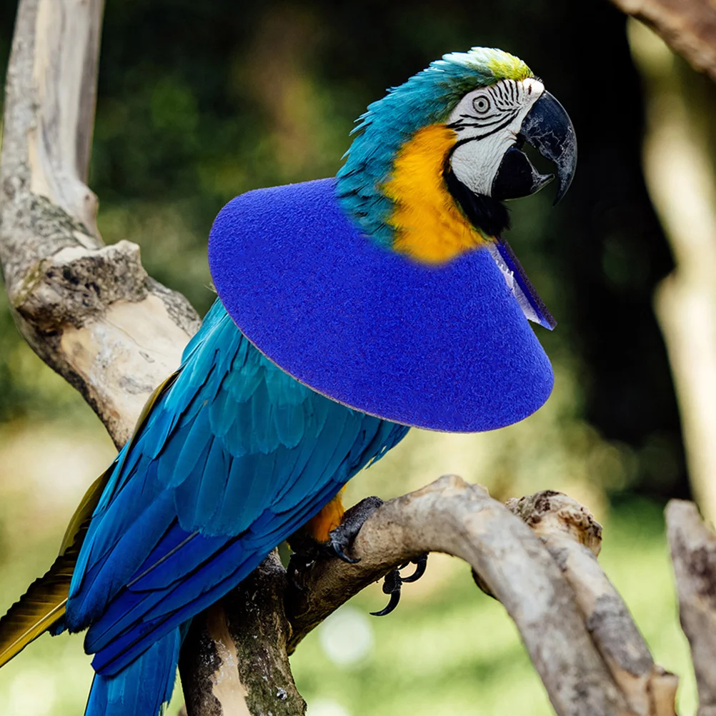 

Parrot Protective Collar Parrot Protective Collar Bird Anti-pecking Cone Bird Neck Cone