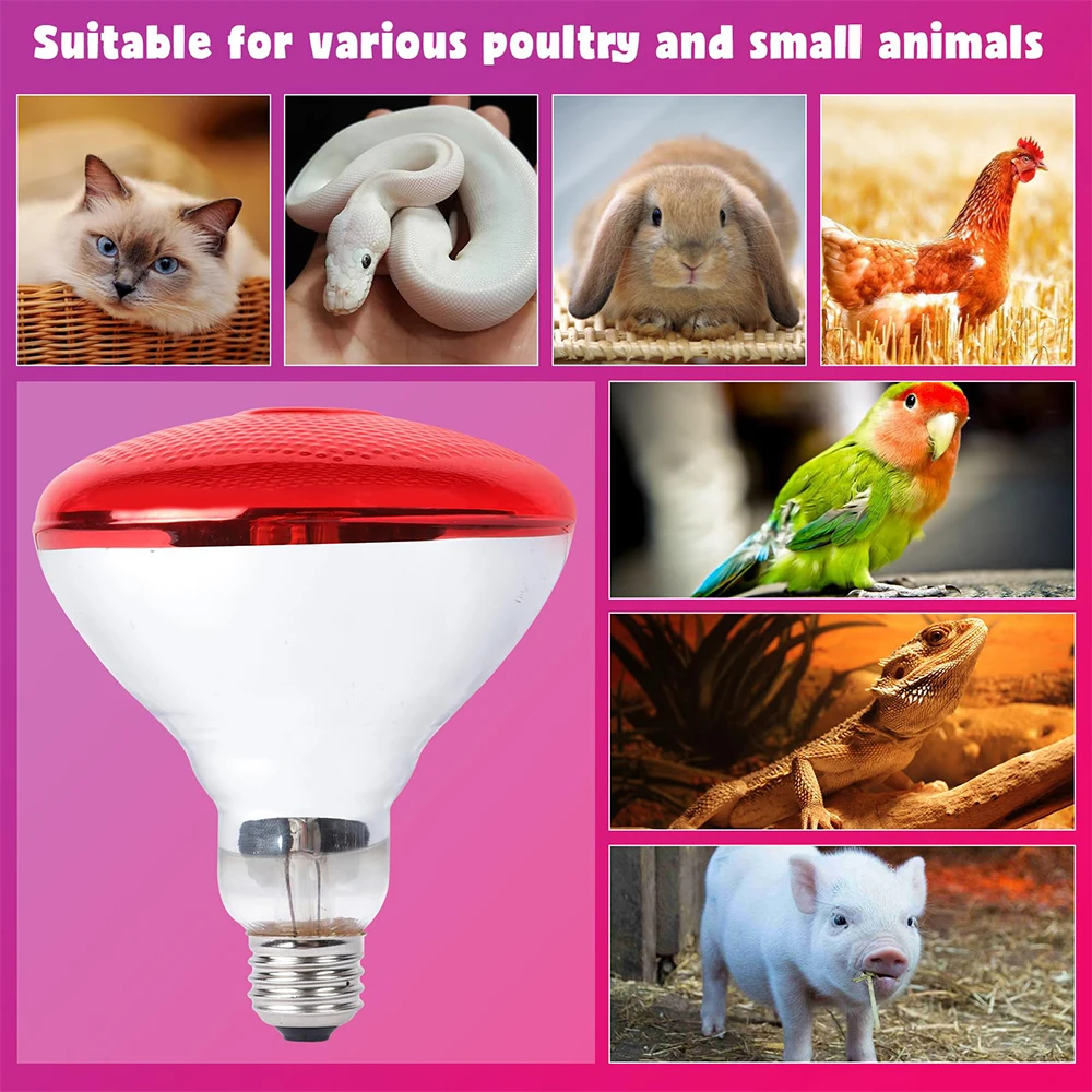 220V Infrared Heating Bulb Lamp 100/150/200/275W for Amphibians Reptiles Poultry Pets Livestock E27 Chicken Duck Farm Supplies 3