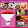 220V Poultry Heating Bulb Infrared Insulation Heat Lamp Set With Lampshade And Switch 100-275W Amphibians Pet Livestock Poultrys 3