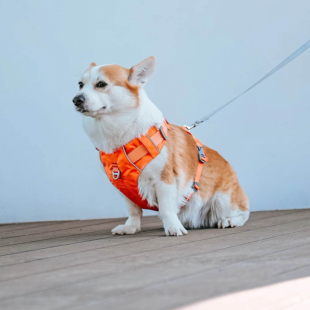 Harnesses Vest Pet Reflective Nylon Walking Running - PeticaDeals